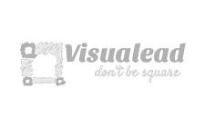 20visuallead